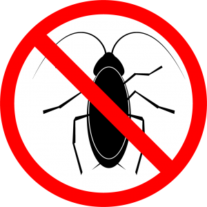 Cockroach Control Essex